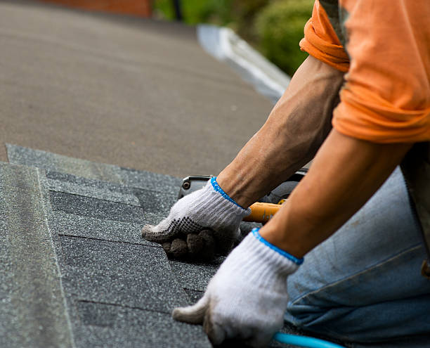 Best Roof Gutter Cleaning  in Lake St Louis, MO